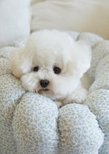 画像をギャラリービューアに読み込む, 【azalea / 予約】カヌレクッション(sky)