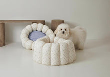 画像をギャラリービューアに読み込む, 【即納/azalea】カヌレクッション(Flower)