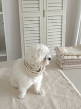 画像をギャラリービューアに読み込む, 【eyou / 予約】ニットマフラー