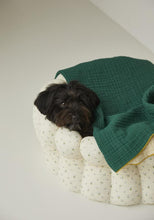 画像をギャラリービューアに読み込む, 【即納/azalea】カヌレクッション(Flower)