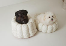 画像をギャラリービューアに読み込む, 【即納/azalea】カヌレクッション(Flower)