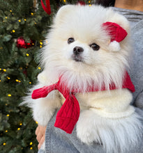 画像をギャラリービューアに読み込む, 【boocce / 予約】CABLE KNIT MUFFLER(Red)
