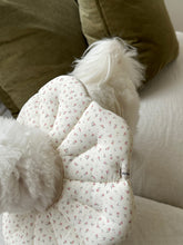 画像をギャラリービューアに読み込む, 【eyou / 即納】NEWピアナネックカラー