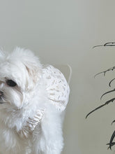 画像をギャラリービューアに読み込む, 【eyou / 即納】ミルクベビーバルーン