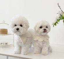 画像をギャラリービューアに読み込む, 【eyou / 予約】White day cape(triangle)