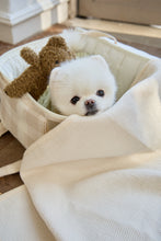 画像をギャラリービューアに読み込む, 《在庫限り30%OFF》cozy round shoulder bag