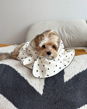 画像をギャラリービューアに読み込む, 【azalea / 予約】3重ガーゼドットブランケット