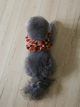 画像をギャラリービューアに読み込む, 【ohdibs / 即納】capeness no.11 leash _ Brick Red(リード)