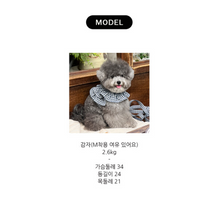 画像をギャラリービューアに読み込む, 【ohdibs / 予約】capeness no.4 leash(リード)