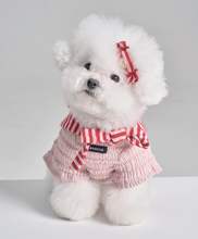 画像をギャラリービューアに読み込む, 【boocce / 予約】LOVE PUPPY MUFFLER(Red)