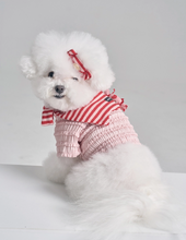 画像をギャラリービューアに読み込む, 【boocce / 予約】LOVE PUPPY MUFFLER(Red)
