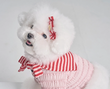 画像をギャラリービューアに読み込む, 【boocce / 予約】LOVE PUPPY MUFFLER(Red)