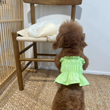 画像をギャラリービューアに読み込む, 【ah taeri pet / 予約】スモーキングビスティエトップ(ライム)