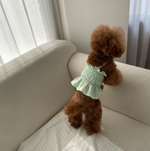 画像をギャラリービューアに読み込む, 【ah taeri pet / 予約】タフィーストライプビスティトップミニワンピース(2color)