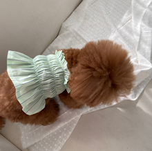 画像をギャラリービューアに読み込む, 【ah taeri pet / 予約】タフィーストライプビスティトップミニワンピース(2color)
