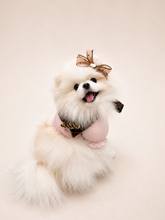 画像をギャラリービューアに読み込む, 【boocce / 予約】BONBON PUPPY MUFFLER(Brown)