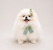 画像をギャラリービューアに読み込む, 【boocce / 予約】BONBON PUPPY MUFFLER(Mint)