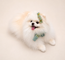 画像をギャラリービューアに読み込む, 【boocce / 予約】BONBON PUPPY MUFFLER(Mint)