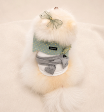 画像をギャラリービューアに読み込む, 【boocce / 予約】BONBON PUPPY MUFFLER(Mint)