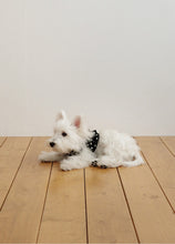 画像をギャラリービューアに読み込む, 【OHDIBS / 新作予約】capeness No.24 _ Black(ケープネス)
