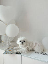 画像をギャラリービューアに読み込む, 【eyou / 即納】レースベスト - leaf