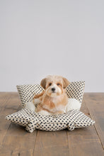 画像をギャラリービューアに読み込む, 【APERTY / 予約】wide bag(2025AW新作 / dot)