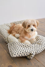 画像をギャラリービューアに読み込む, 【APERTY / 予約】wide bag(2025AW新作 / dot)