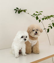 画像をギャラリービューアに読み込む, 【eyou / 即納】レースベスト - leaf