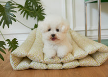 画像をギャラリービューアに読み込む, 【azalea / 予約】カヌレクッション(sky)