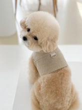 画像をギャラリービューアに読み込む, 【eyou / 予約】ピグメントハーネス