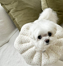 画像をギャラリービューアに読み込む, 【eyou / 即納】NEWピアナネックカラー