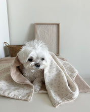 画像をギャラリービューアに読み込む, 【eyou / 予約】ベロアブランケット