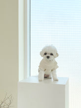 画像をギャラリービューアに読み込む, 【eyou / 予約】クロップルポーラニット