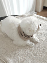 画像をギャラリービューアに読み込む, 【eyou / 予約】ニットマフラー