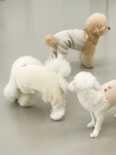 画像をギャラリービューアに読み込む, 【eyou / 予約】ワッフルオールインワン