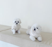 画像をギャラリービューアに読み込む, 【eyou / 予約】クロップルポーラニット