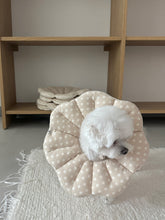 画像をギャラリービューアに読み込む, 【eyou / 予約】ピアナネックカラー DOT