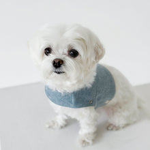 画像をギャラリービューアに読み込む, 【eyou / 予約】ピグメントハーネス