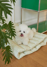 画像をギャラリービューアに読み込む, 【azalea / 予約】カヌレクッション(sky)