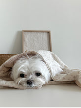 画像をギャラリービューアに読み込む, 【eyou / 予約】ベロアブランケット