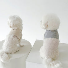 画像をギャラリービューアに読み込む, 【eyou / 予約】ピグメントハーネス