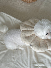 画像をギャラリービューアに読み込む, 【eyou / 予約】ピアナネックカラー - Soft blossom