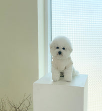 画像をギャラリービューアに読み込む, 【eyou / 予約】クロップルポーラニット