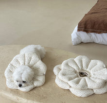 画像をギャラリービューアに読み込む, 【eyou / 即納】NEWピアナネックカラー