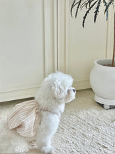 画像をギャラリービューアに読み込む, 【eyou / 即納】ミルクベビーバルーン