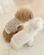 画像をギャラリービューアに読み込む, 【eyou / 即納】レースベスト - leaf