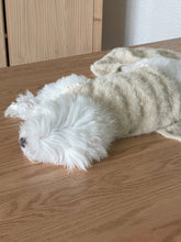 画像をギャラリービューアに読み込む, 【eyou / 即納】ボードリーセーター