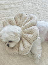 画像をギャラリービューアに読み込む, 【eyou / 予約】ピアナネックカラー - Soft blossom