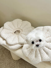 画像をギャラリービューアに読み込む, 【eyou / 即納】NEWピアナネックカラー