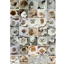 画像をギャラリービューアに読み込む, 【eyou / 予約】ピアナネックカラー - Soft blossom